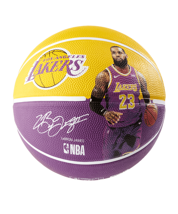 signed lebron james basketball