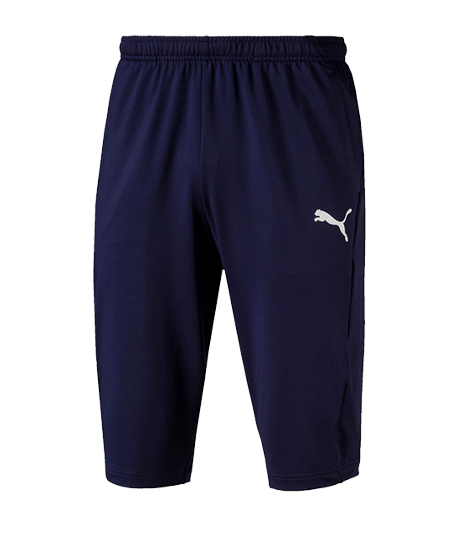 puma liga training pants