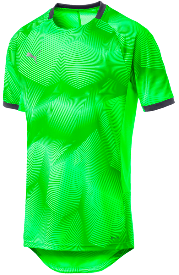 puma ftblnxt shirt