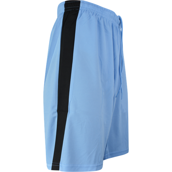 puma pitch shorts