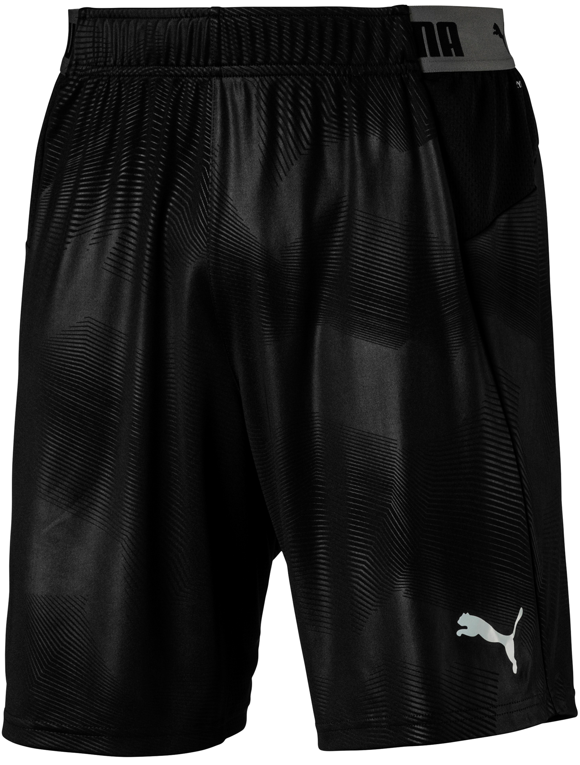PUMA Football Next GK-Shorts (black)