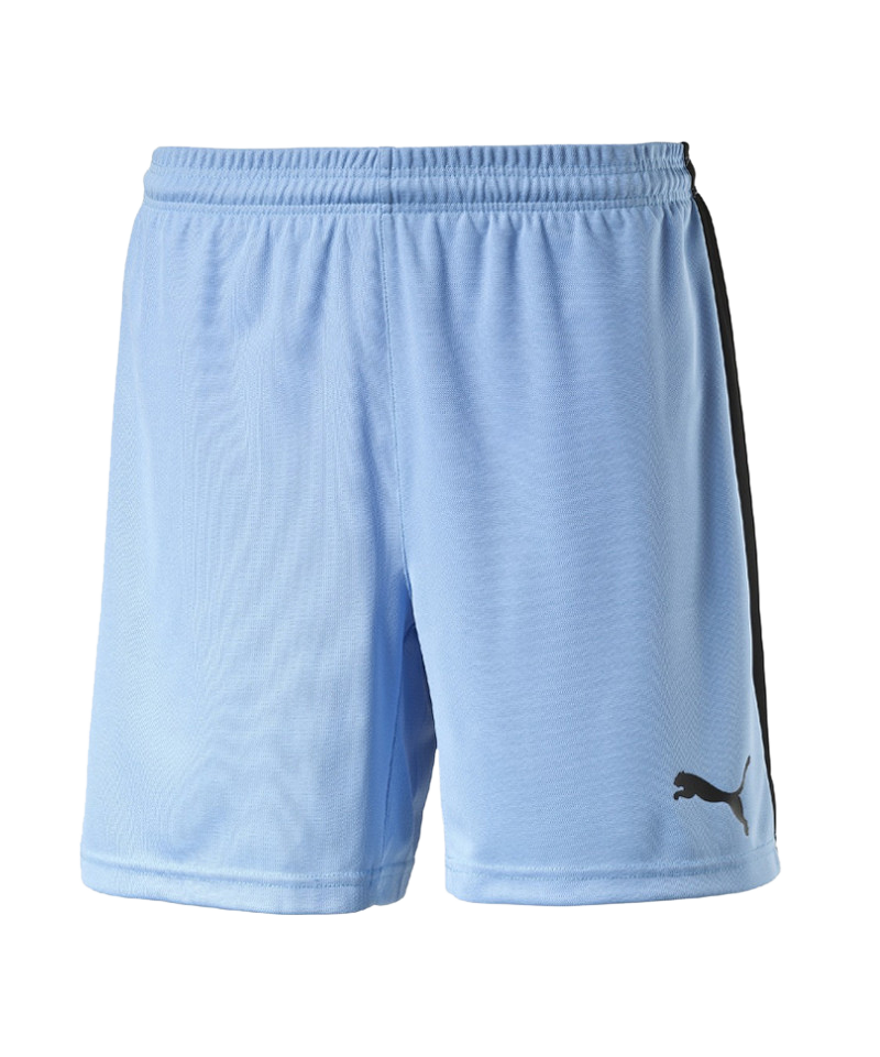 puma pitch puma pitch